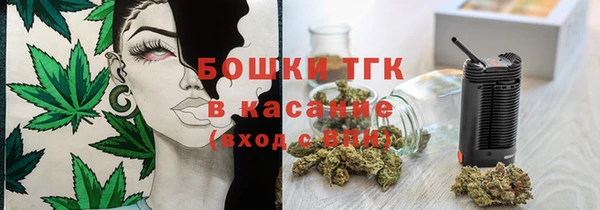 ГАЛЛЮЦИНОГЕННЫЕ ГРИБЫ Магас
