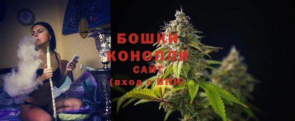 ГАЛЛЮЦИНОГЕННЫЕ ГРИБЫ Магас