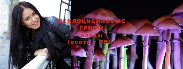 PSILOCYBIN Медногорск