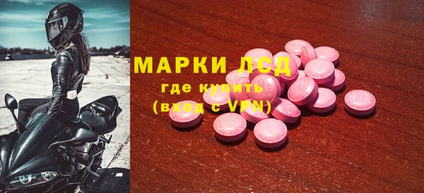 ГАЛЛЮЦИНОГЕННЫЕ ГРИБЫ Магас