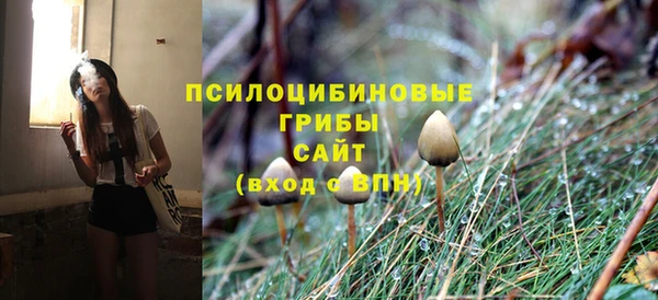 ГАЛЛЮЦИНОГЕННЫЕ ГРИБЫ Магас