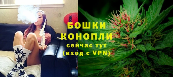 ГАЛЛЮЦИНОГЕННЫЕ ГРИБЫ Магас