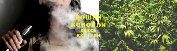 тгк Осташков