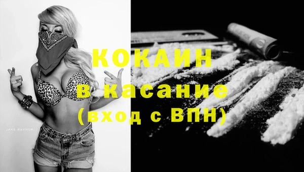 прущие крисы Долгопрудный