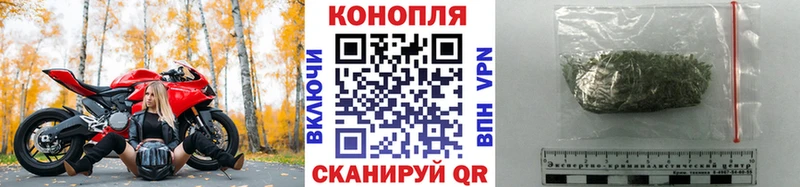Бошки марихуана SATIVA & INDICA  купить наркотики цена  Карачев 